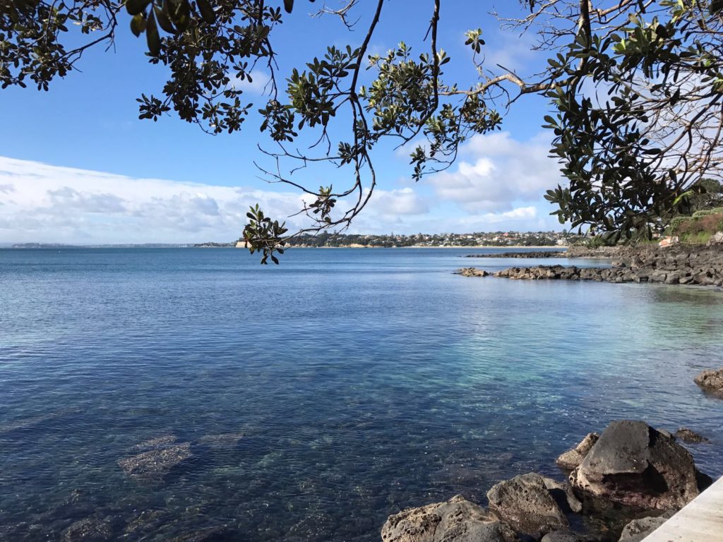 Milford coastal walk